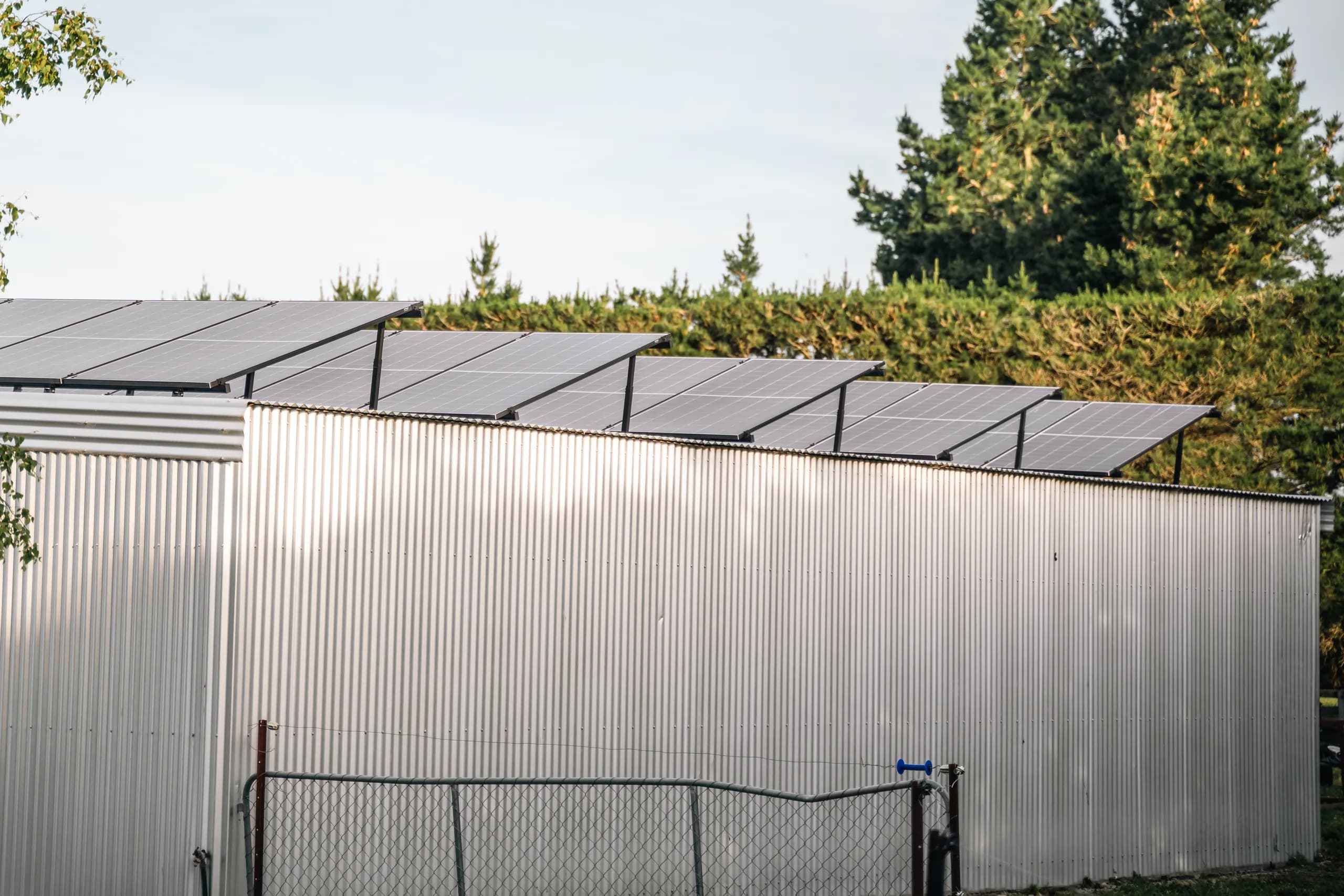 Ground-level close-up of tilt-mounted solar panels along the edge of a corrugated metal shed roof, with a wire fence and green trees behind on an overcast day.